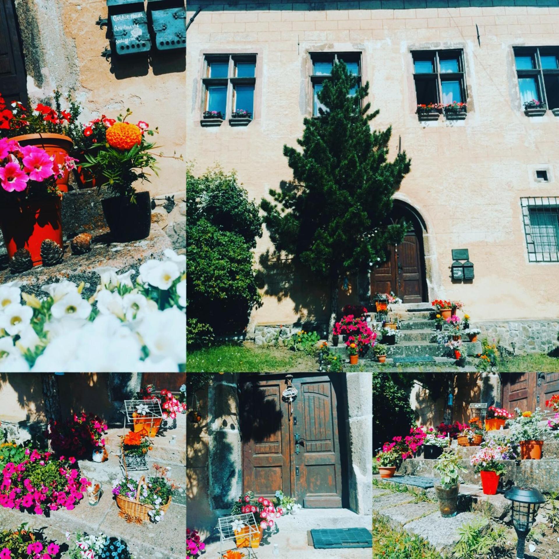 Gothic House Apartments Körmöcbánya Kültér fotó